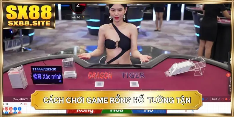 Cách chơi game Rồng Hổ