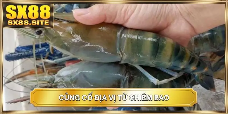 Củng cố địa vị từ chiêm bao