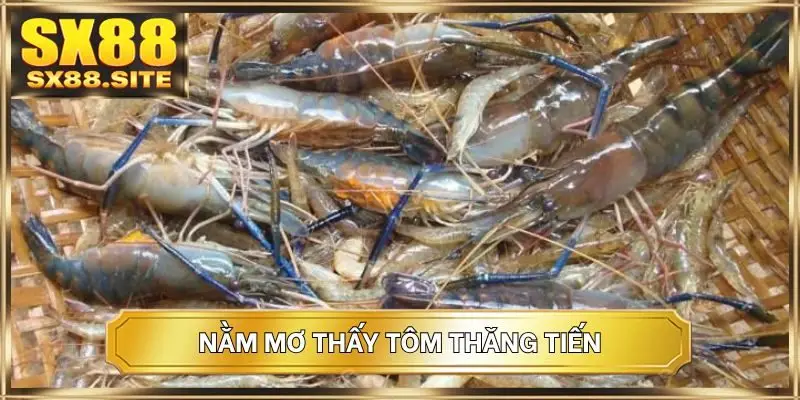 Nằm mơ thấy tôm thăng tiến