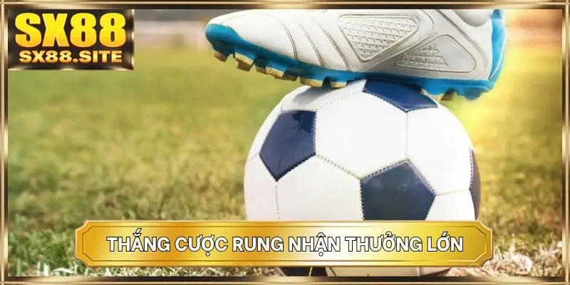 Thắng cược rung nhận thưởng lớn
