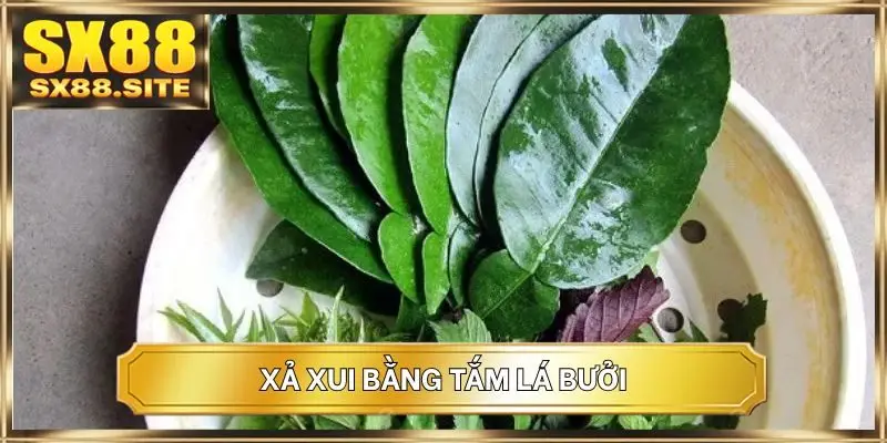 Xả xui bằng tắm lá bưởi
